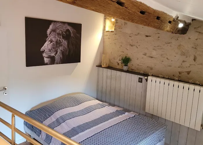 Le Moulin Du Gué En Vendée De 8 Atypique Et Exceptionnel Au Bord De L'eau à 30 Minutes Du Puydufou Agrémenté D'un Sauna Et Bain Nordique Au Feu De Bois Pour Vous Détendre Entre Amis Et Famille Сasa de vacaciones *