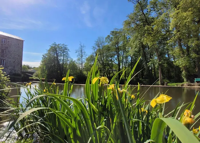 Le Moulin Du Gué En Vendée De 8 Atypique Et Exceptionnel Au Bord De L'eau à 30 Minutes Du Puydufou Agrémenté D'un Sauna Et Bain Nordique Au Feu De Bois Pour Vous Détendre Entre Amis Et Famille *